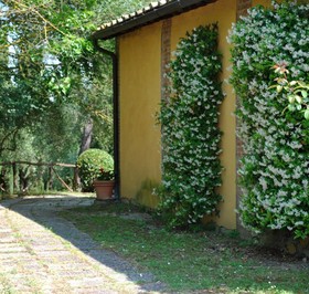 Il Palazzetto