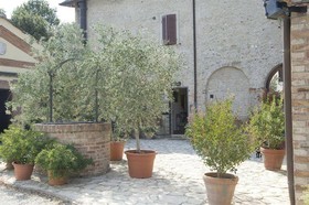 Il Pettirosso B&B