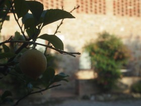 L'Aia Country Holidays