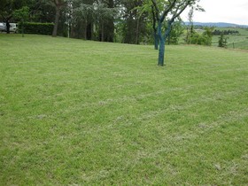 L'Albergaccio
