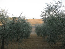 L'Albergaccio