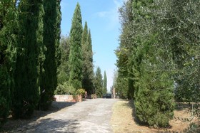 Malafrasca