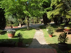 Malafrasca