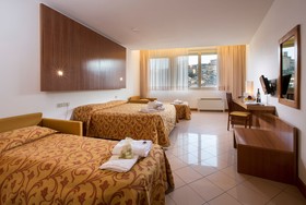 Hotel Minerva