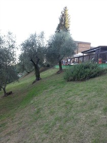 Hotel Porta Romana