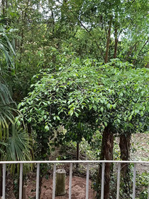 Relais Corte dei Cavalieri