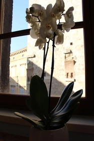 Residenza d'Epoca Palazzo Borghesi