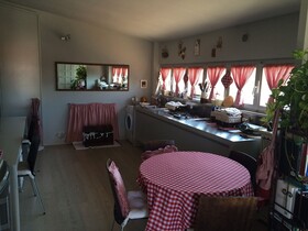 Rinidia - Siena Celso Cittadini