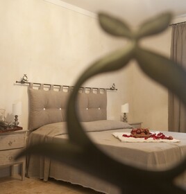 Rinidia - Siena Celso Cittadini