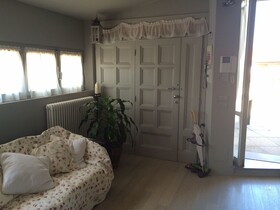 Rinidia - Siena Celso Cittadini