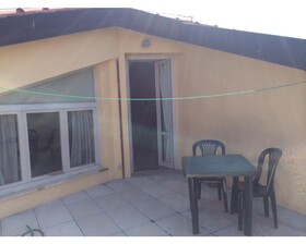 Rinidia - Siena Celso Cittadini