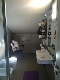 Rinidia - Siena Celso Cittadini