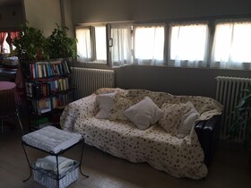 Rinidia - Siena Celso Cittadini