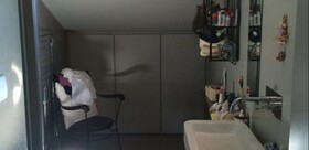 Rinidia - Siena Celso Cittadini