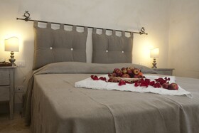 Rinidia - Siena Celso Cittadini