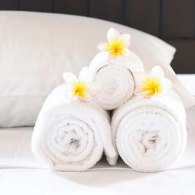 Villa Patrizia Siena