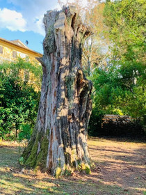 Villa Patrizia Siena