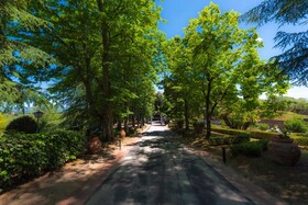 Villa Scacciapensieri