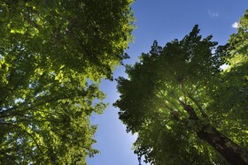 Villa Scacciapensieri