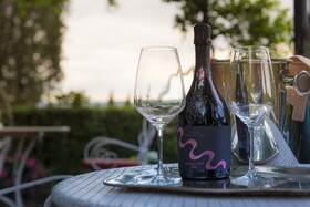 Villa Scacciapensieri