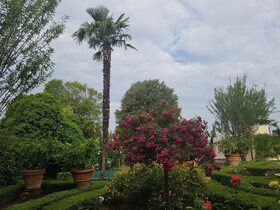 Villa Scacciapensieri