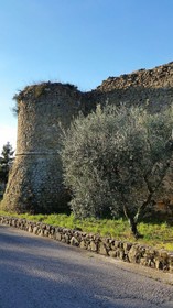 La Paterna di Rigomagno