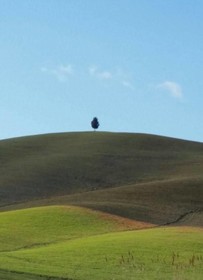 La Paterna di Rigomagno