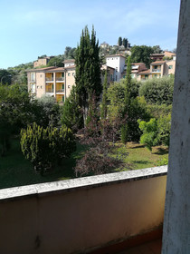 La Pineta