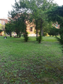 La Pineta