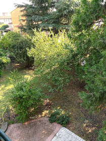 La Pineta