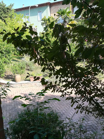 La Pineta