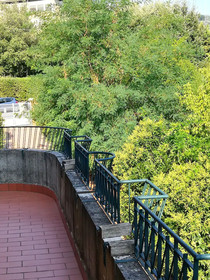 La Pineta