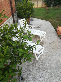 La Pineta