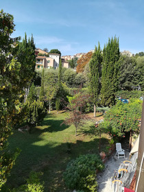 La Pineta