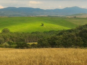 La Pineta