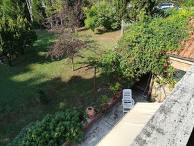 La Pineta