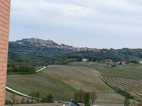 La Pineta