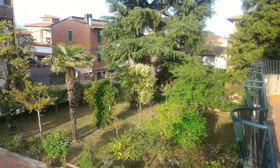 La Pineta