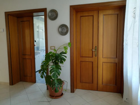 La Pineta