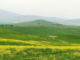 La Pineta