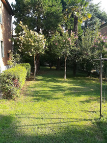 La Pineta