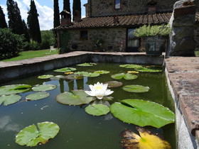 Podere Pievina