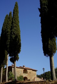 Podere Pievina