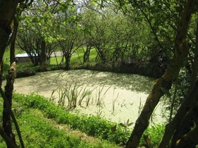 Podere Pievina