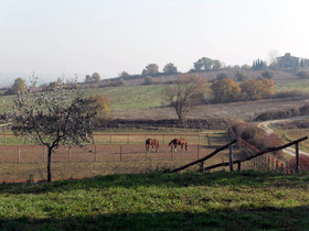 Podere Pievina