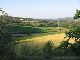 Agriturismo Podere Ficareto