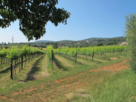 Agriturismo Podere Ficareto