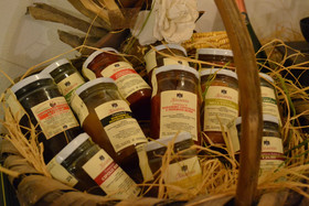 Agriturismo Podere Ficareto