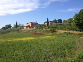 Agriturismo Podere Ficareto
