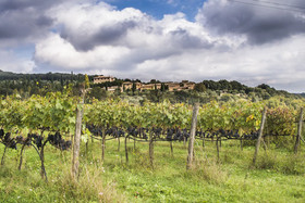 Agriturismo Podere Ficareto